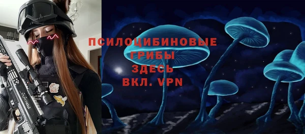 apvp Балахна
