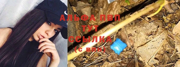 apvp Балахна